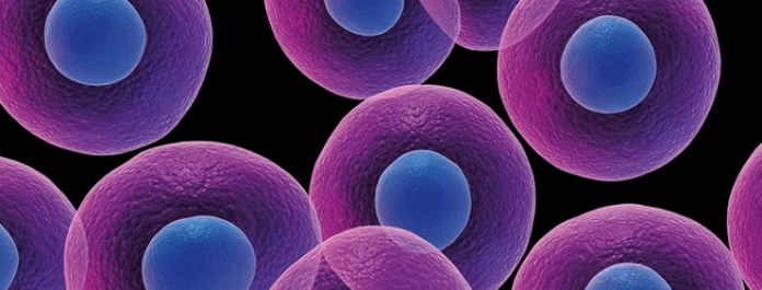 Astrazeneca