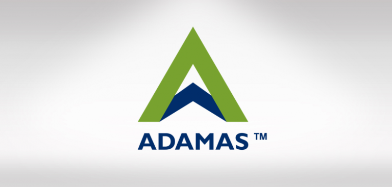 Is the Adamas Pharmaceuticals Inc (NASDAQ:ADMS) Pullback an Opportunity?