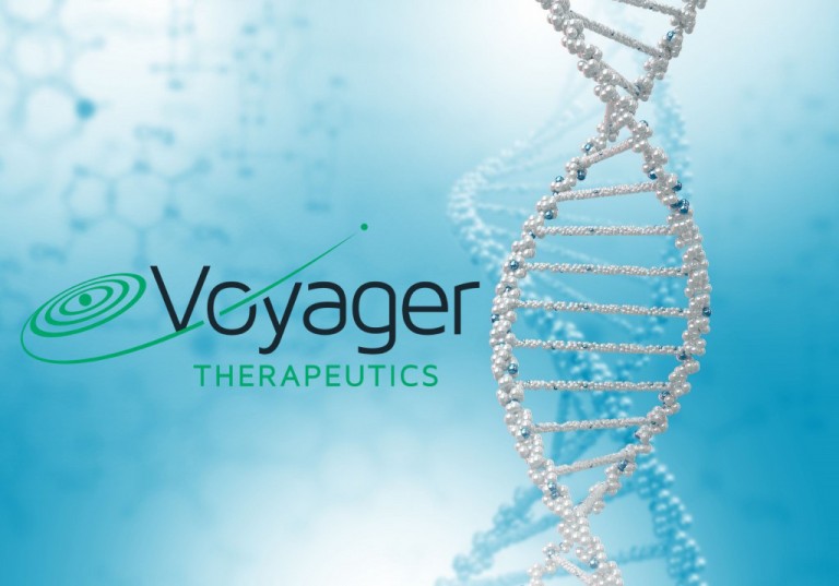 Phase Ib Topline Could be Make or Break for Voyager Therapeutics