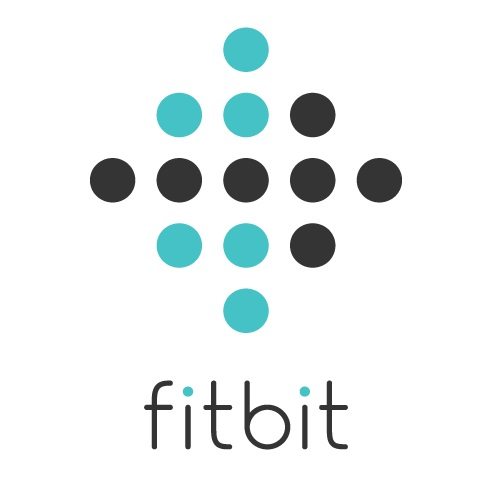 Fitbit Inc