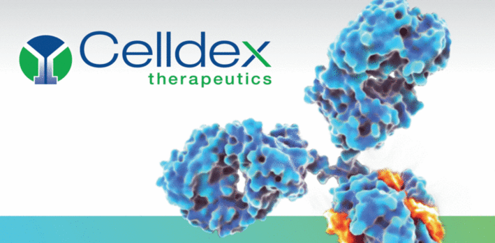 Even at a 55% Discount, Celldex Therapeutics, Inc. (NASDAQ:CLDX) Still Looks Overvalued