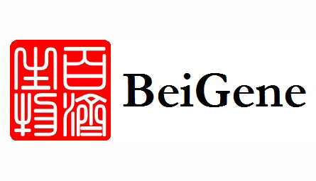 Beigene Ltd (NASDAQ:BGNE) Doses First Patient In Combination Trial Of BGB-A317 and BGB-3111
