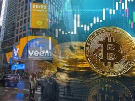 Google And Goldman Sach Are Investing With Blockchain Startup Veem