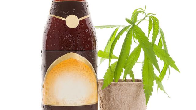 Net Savings Link, Inc. (OTC:NSAV) Announces Launch Of Hemp Beer And Plans to Acquire 25% of High Tech Herb, Inc.