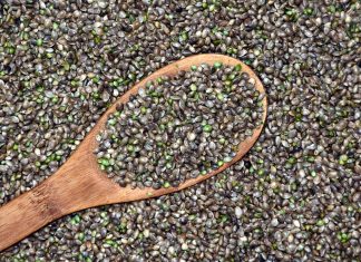 hemp-cannabis-seeds