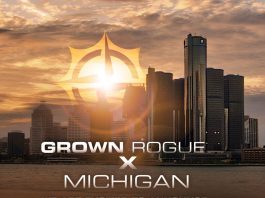 Grown Rogue