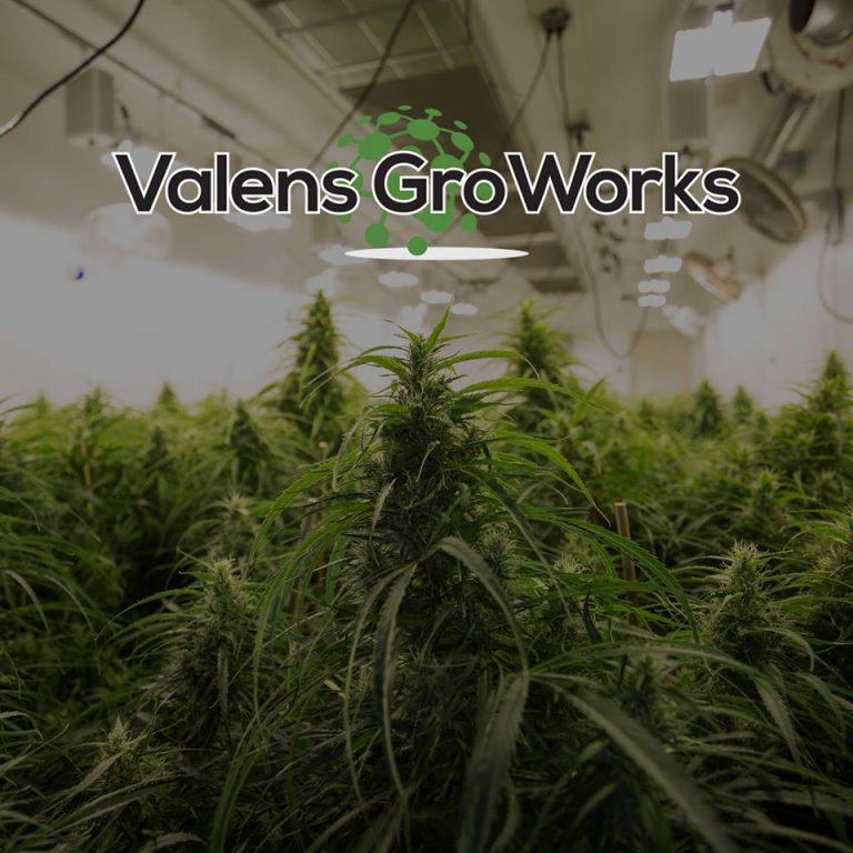 Valens Bringing Cannabis-Infused Products to New Global Markets