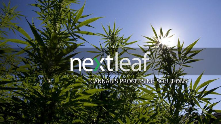 Nextleaf Becomes First Public Firm to Get Patent for Cannabinoid Extraction