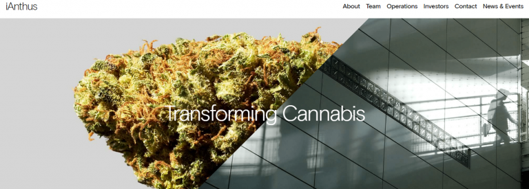 iAnthus Flourishing in Massachusetts Adult-Use Cannabis Market