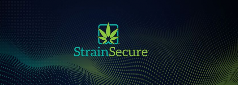 Deloitte, TruTrace Eye Blockchain to Improve Cannabis Quality Control and Safety
